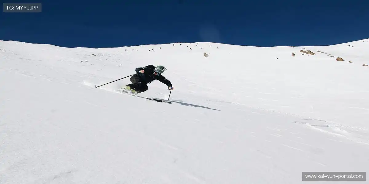 专业赛道认证·让努力被铭记🔬